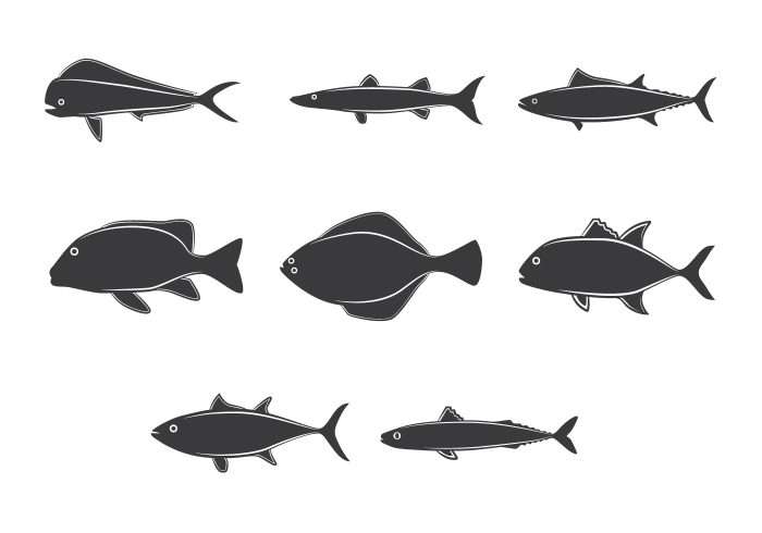 Lineart Ocean Fish Collection Drawn