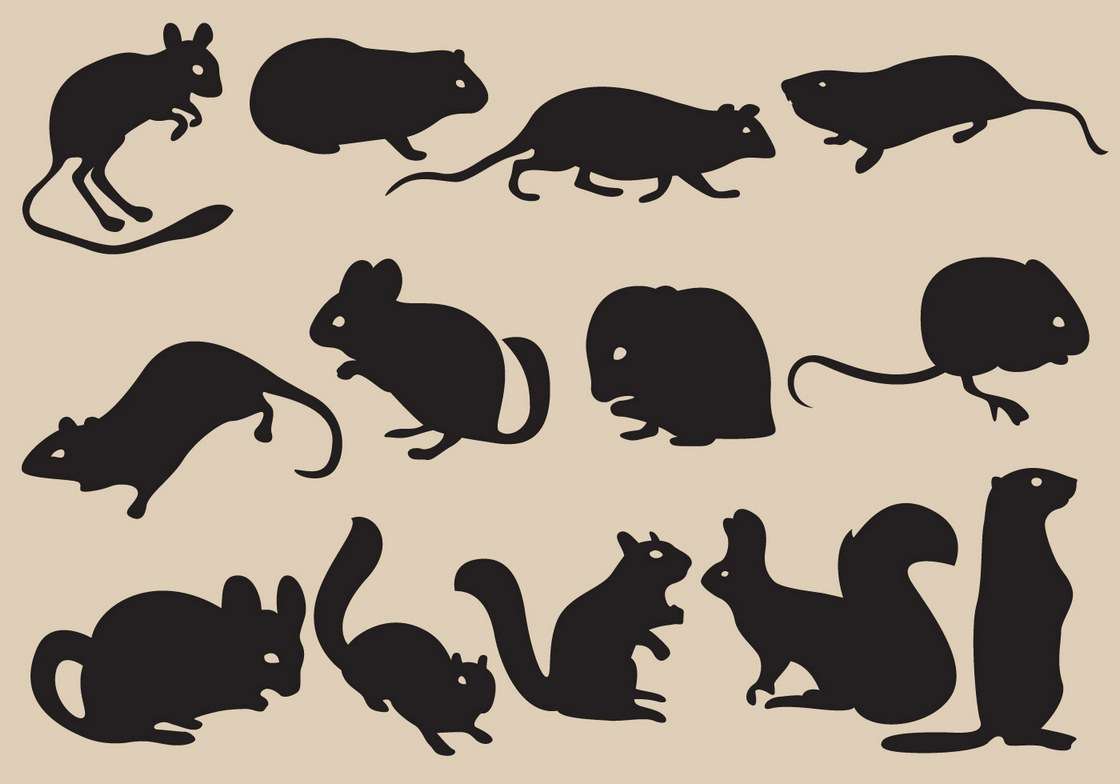 Rodent Silhouettes