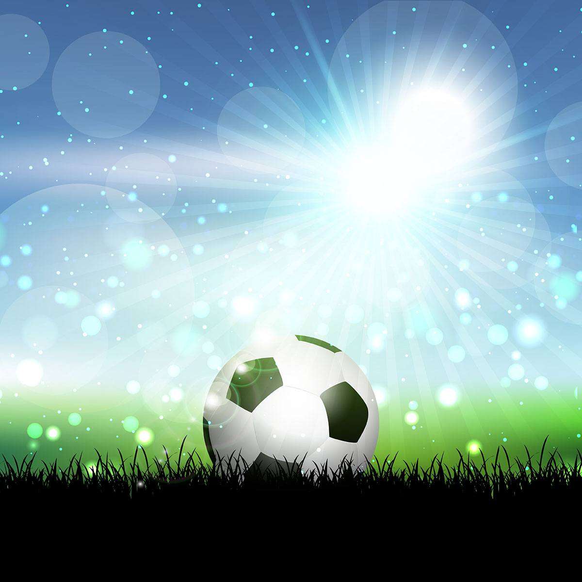 Soccer ball in grassy landscape
