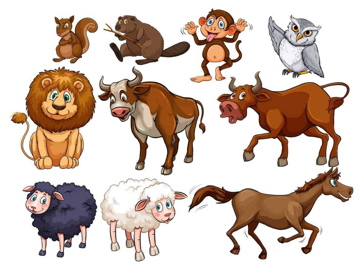 Wild animals in various types