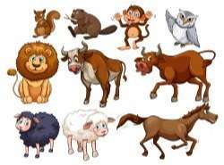 Wild animals in various types