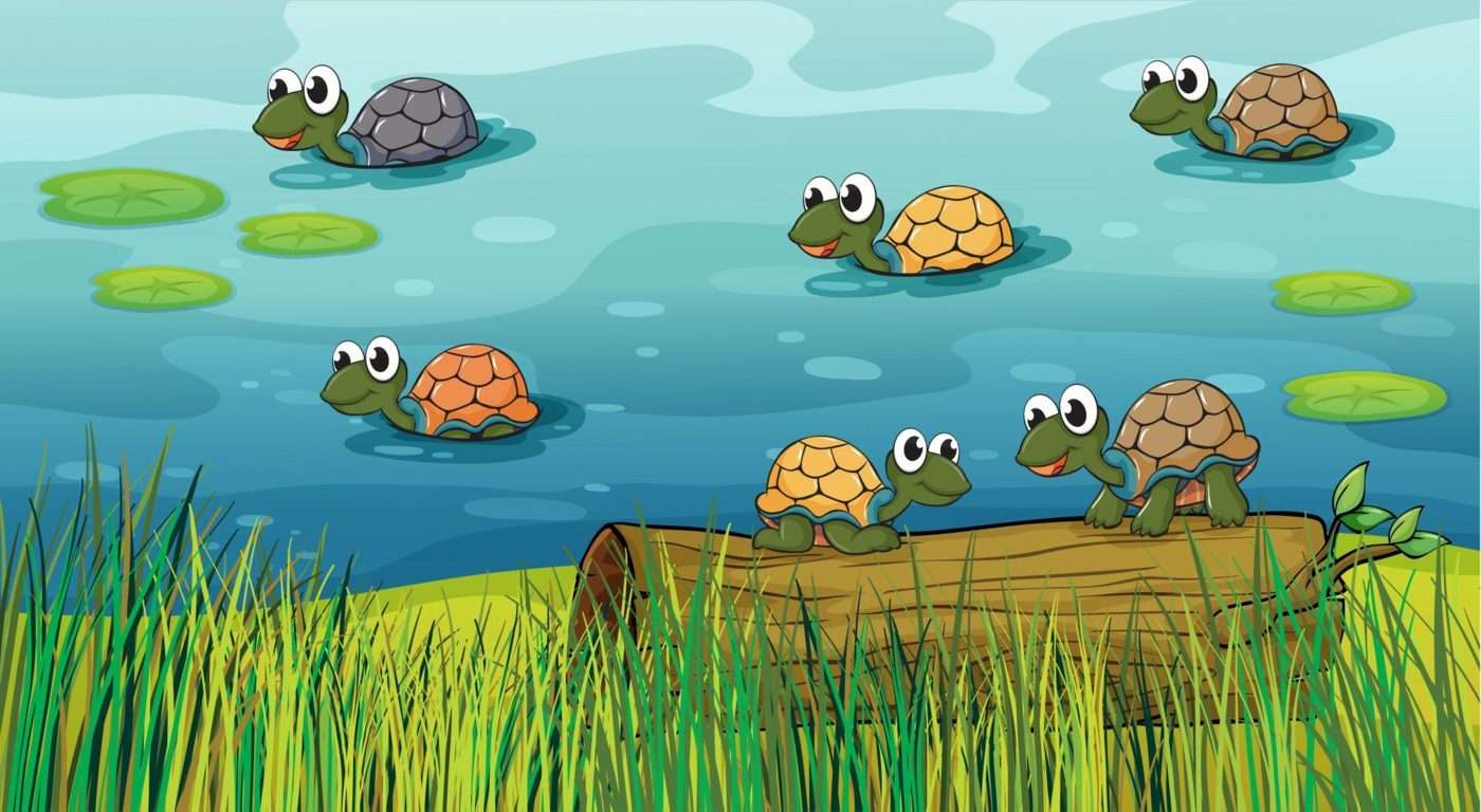 A group of turtles in the river