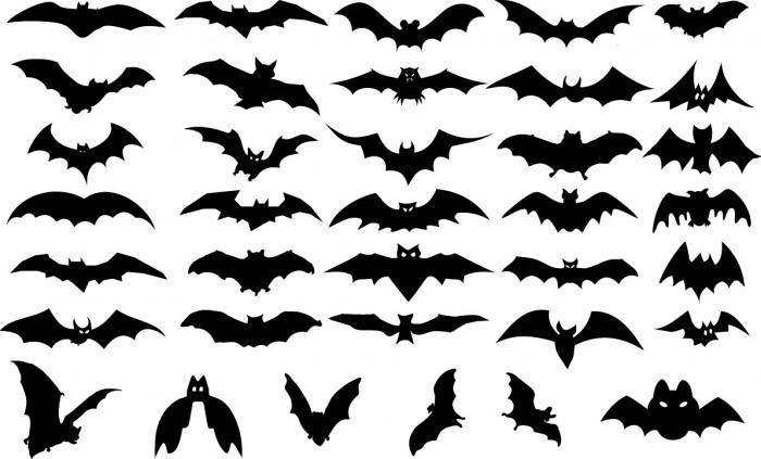 Bat silhouette Vector