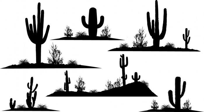 Cactus silhouettes Vector