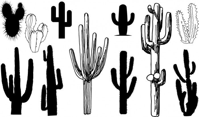 Cactus silhouettes Vector