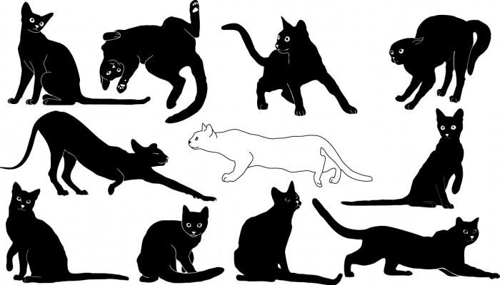 Cats silhouette Vector