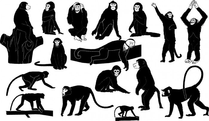 Monkey silhouettes Vector