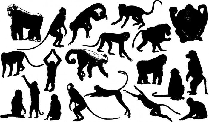 Monkey silhouettes Vector