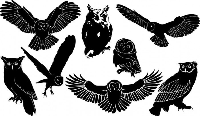 Owl silhouette Vector