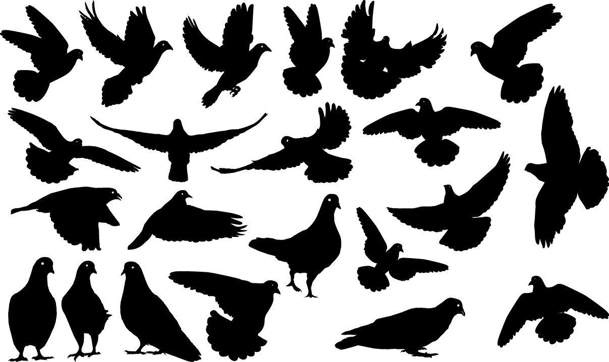 Pigeons silhouettes Vector