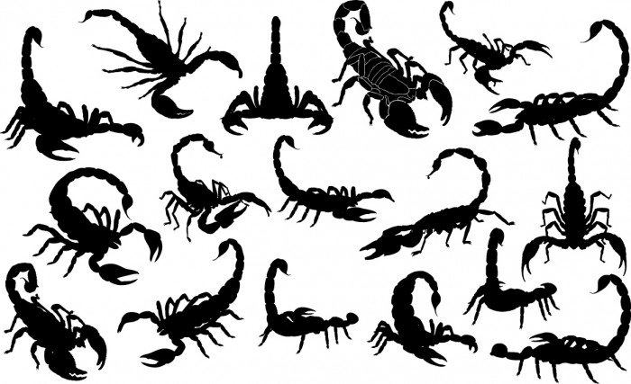Scorpion silhouettes Vector