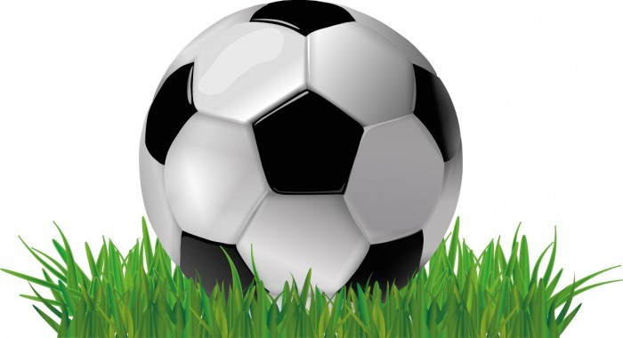 Soccer ball on grass Vector