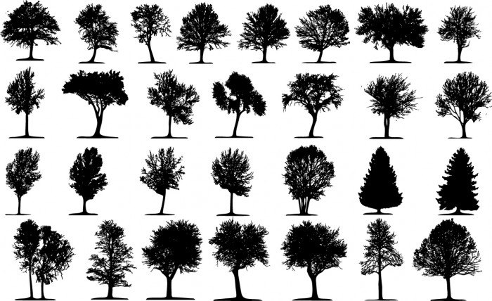 Trees silhouette Vector