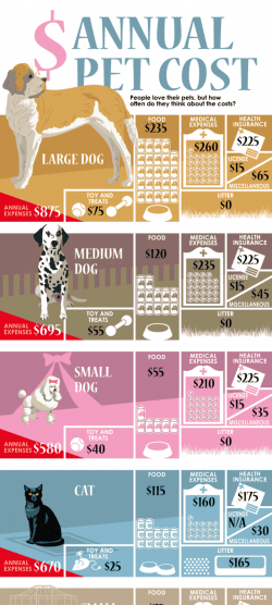 Annual Cost of Pets [Infographic] | Daily Infographic