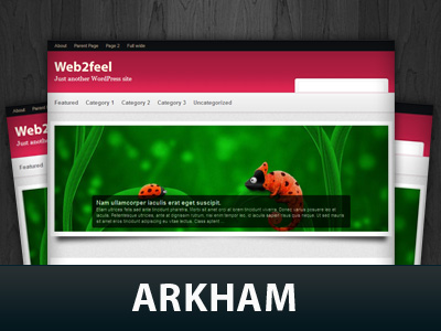 Arkham WordPress Themes