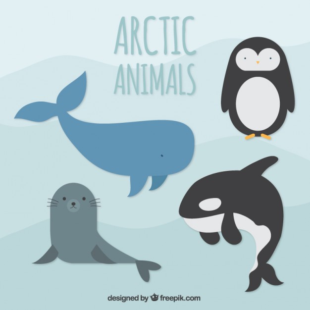 artic animals
