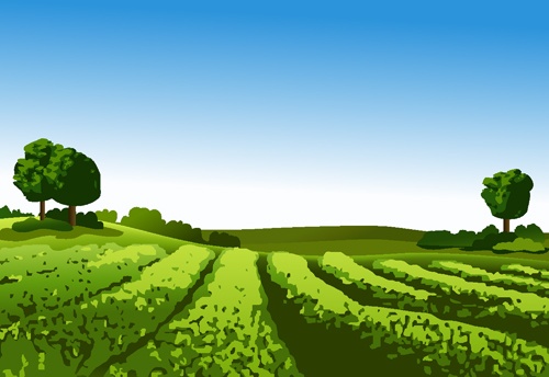 Beautiful fields landscapes vector set 20
