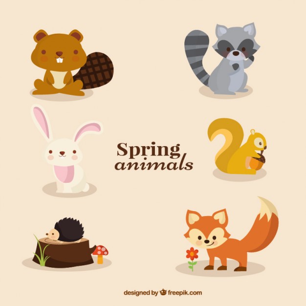 Collection of cute animals