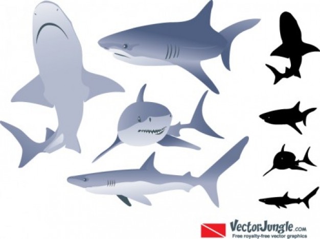 Cool shark silhouettes vector images