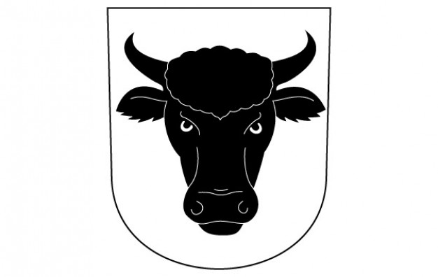 Cow Bull Horns