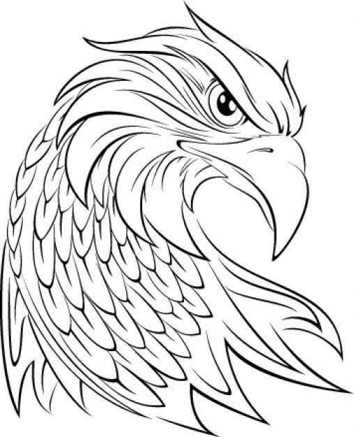 Eagle head graphic