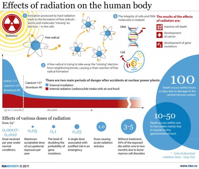 Effects of Radiation on the Human Body? [Infographic] | Daily Infographic