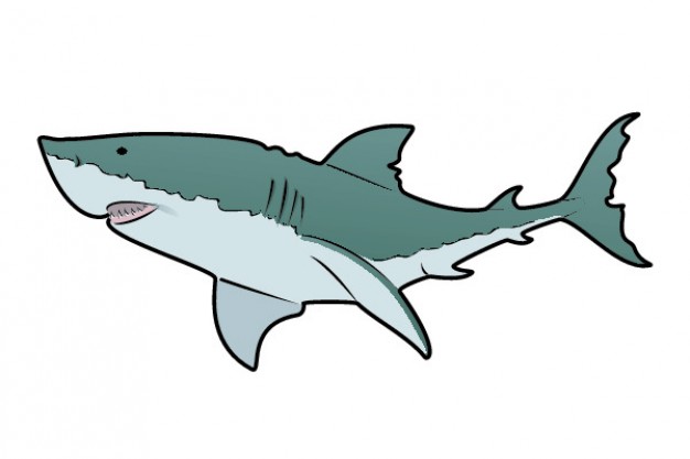 Great shark lateral view