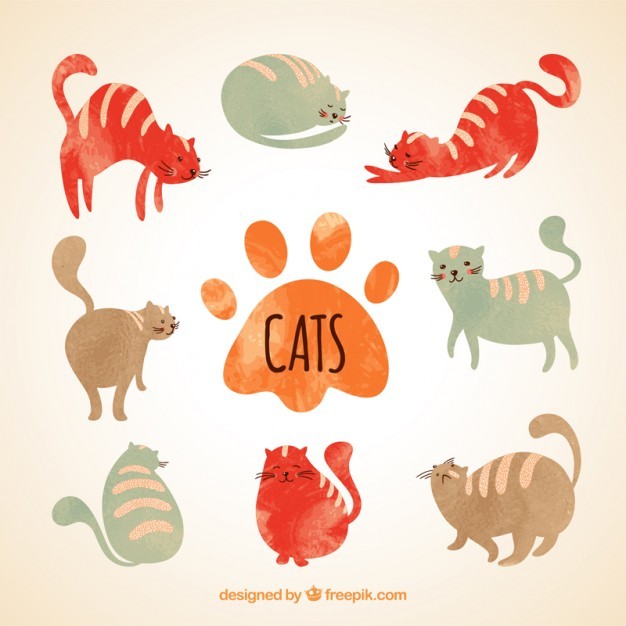 Hand painted cats