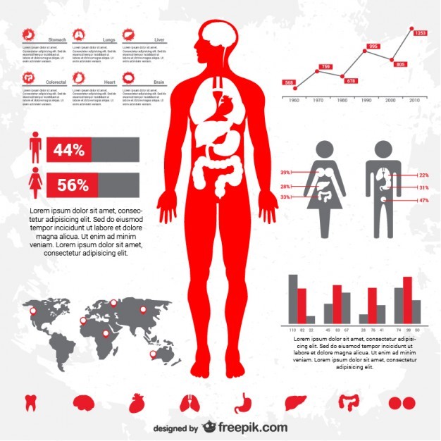 Infographic medical free vector   Vector | Free Download