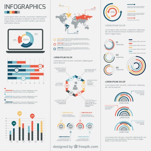 Infographic template  Vector | Free Download