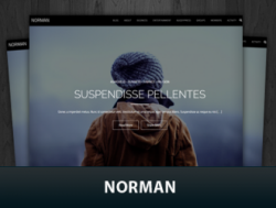 Norman WordPress Themes