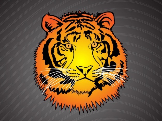 Orange tiger head portrait