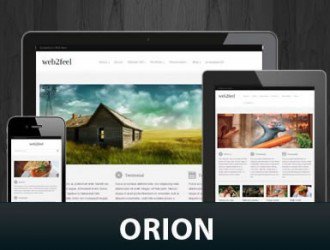 Orion WordPress Themes