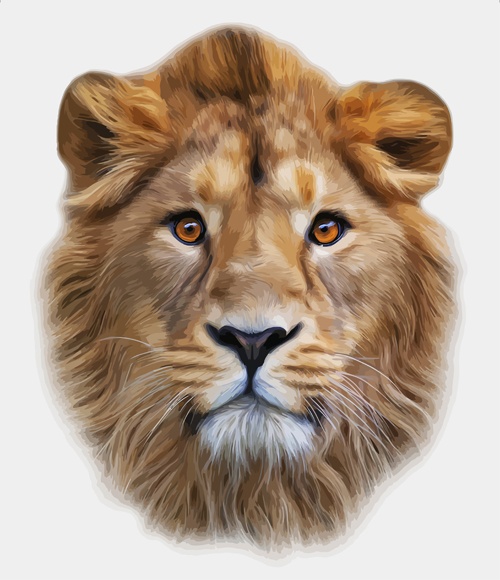 Realistic Lion head design vector