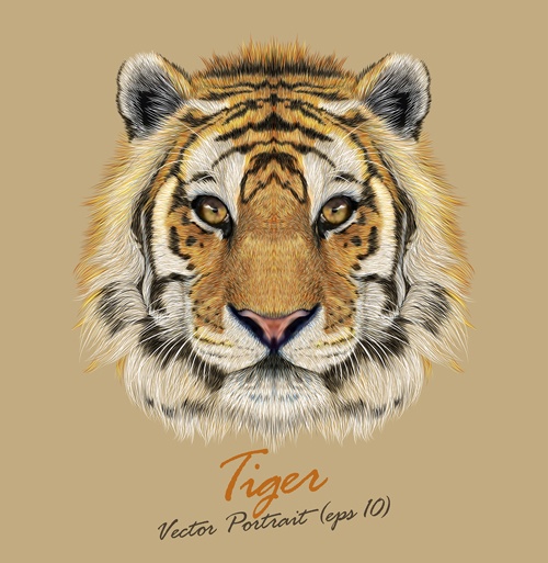 Realistic tiger art background vector
