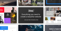 Salient – Responsive Multi-Purpose Theme – WordPress