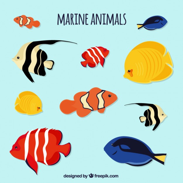 Sea Life Set