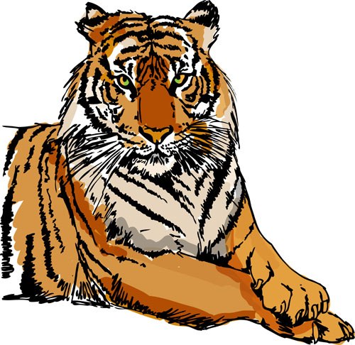 Set of tiger elements vector 05