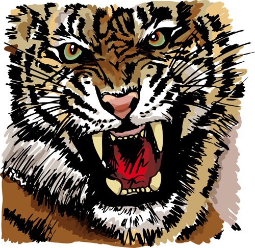 Set of tiger elements vector 04