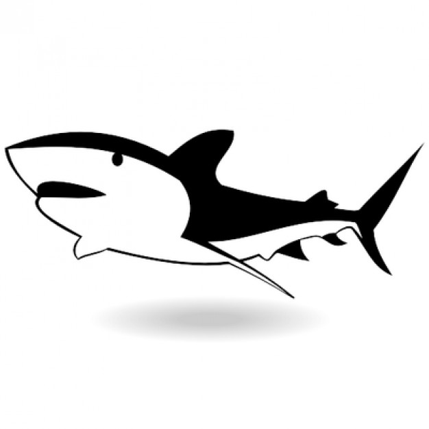 Shark with curvy large tail