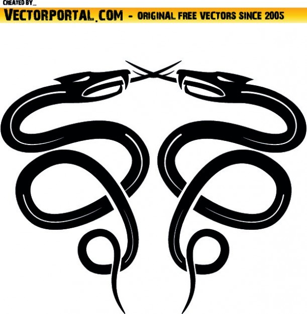 Snakes mirror