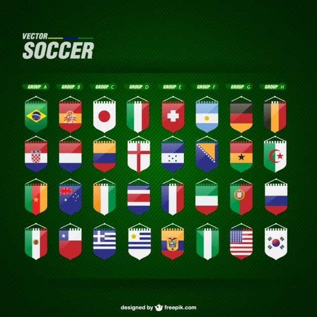 Soccer flags vector free
