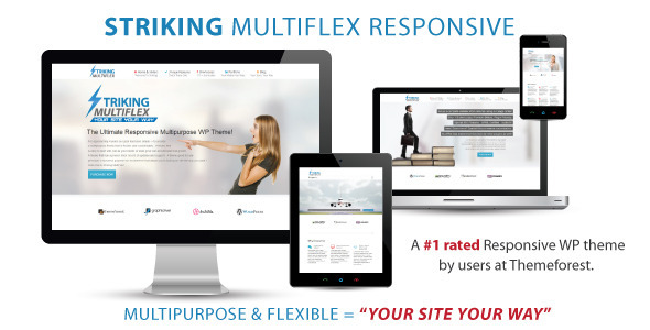 Striking MultiFlex & Ecommerce Responsive WP Theme – WordPress