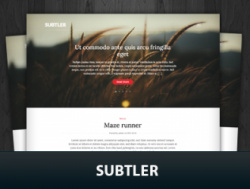 Subtler WordPress Themes