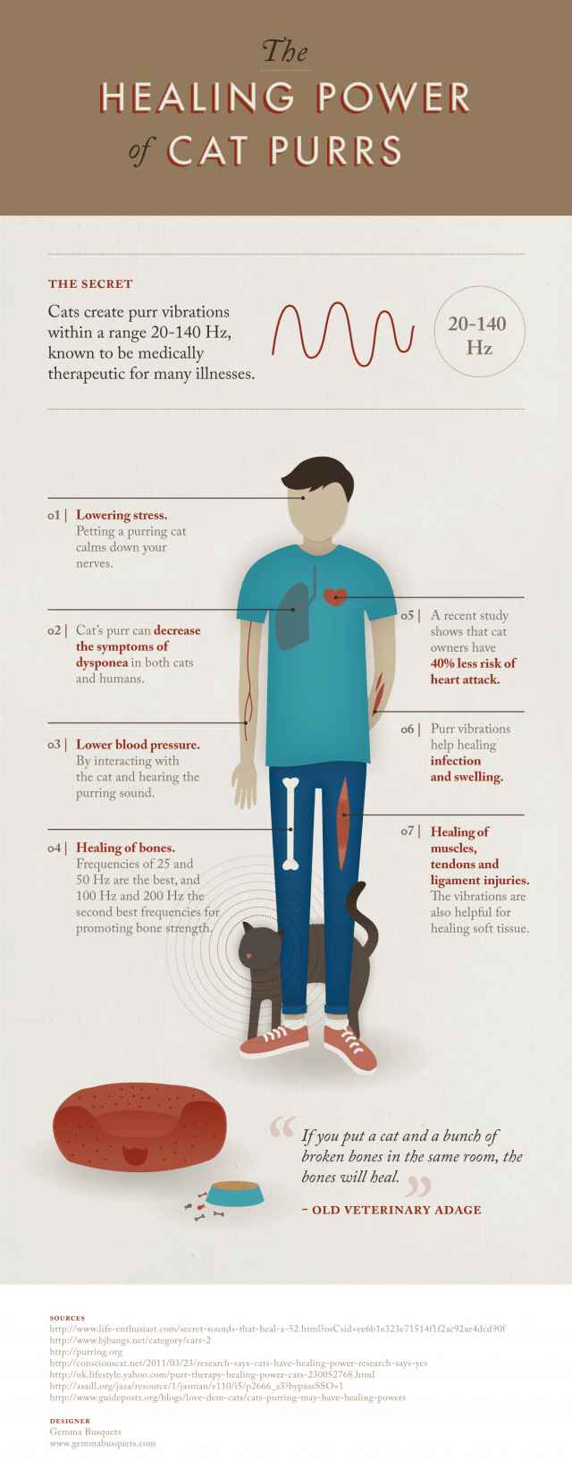 The Healing Power of Cat Purrs [Infographic] | Daily Infographic