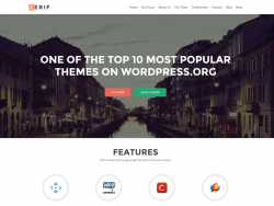 Zerif Lite Free WordPress Themes