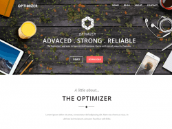 Optimizer WordPress Themes