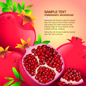 Vector Organic food backgorunds 05