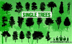 Vector Trees