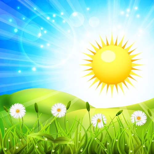 Vibrant spring elements vector background art 03